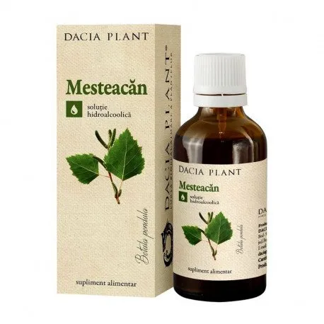 DACIA PLANT Tinctura mesteacan, 50 ml stimulent renal