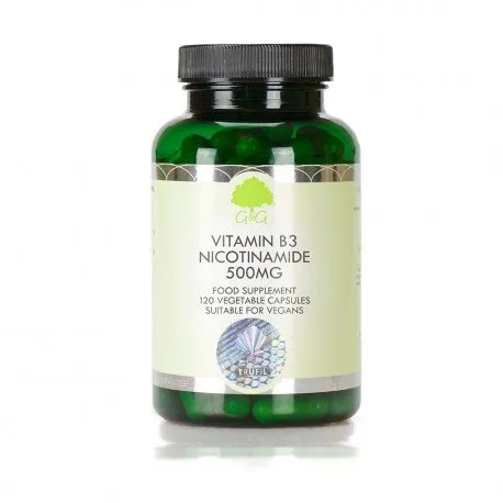 Vitamina B3 Nicotinamida 500 mg, 120 capsule