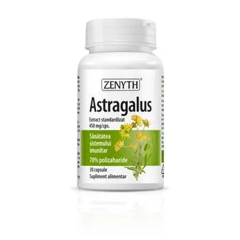 Astragalus, 30 capsule, Zenyth